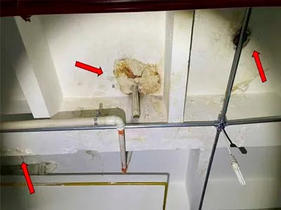 Laudo cautelar de vizinhança XPB Engenharia